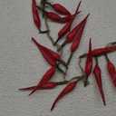 Artificial Chili String, 1 Pack Simulation Artificial Lifelike Fake Vegetable Artificial Chili Red Pepper Hanging String Photography Props for Home Office Kitchen Harvest Decoration (Red Chili, 1pc)