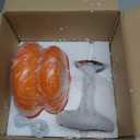 Cordless Mushroom Lamp, Rechargeable Glass Table Lamp, Touch Dimming-Orange