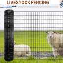 Tongmo 2 ft x 100 ft Black PVC Coated Welded Wire Fence, 16GA Garden Chicken Wire Fence Roll, Mesh Size 2" x 4" Hardware Cloth, Ideal for Yard Protection and Poultry Netting