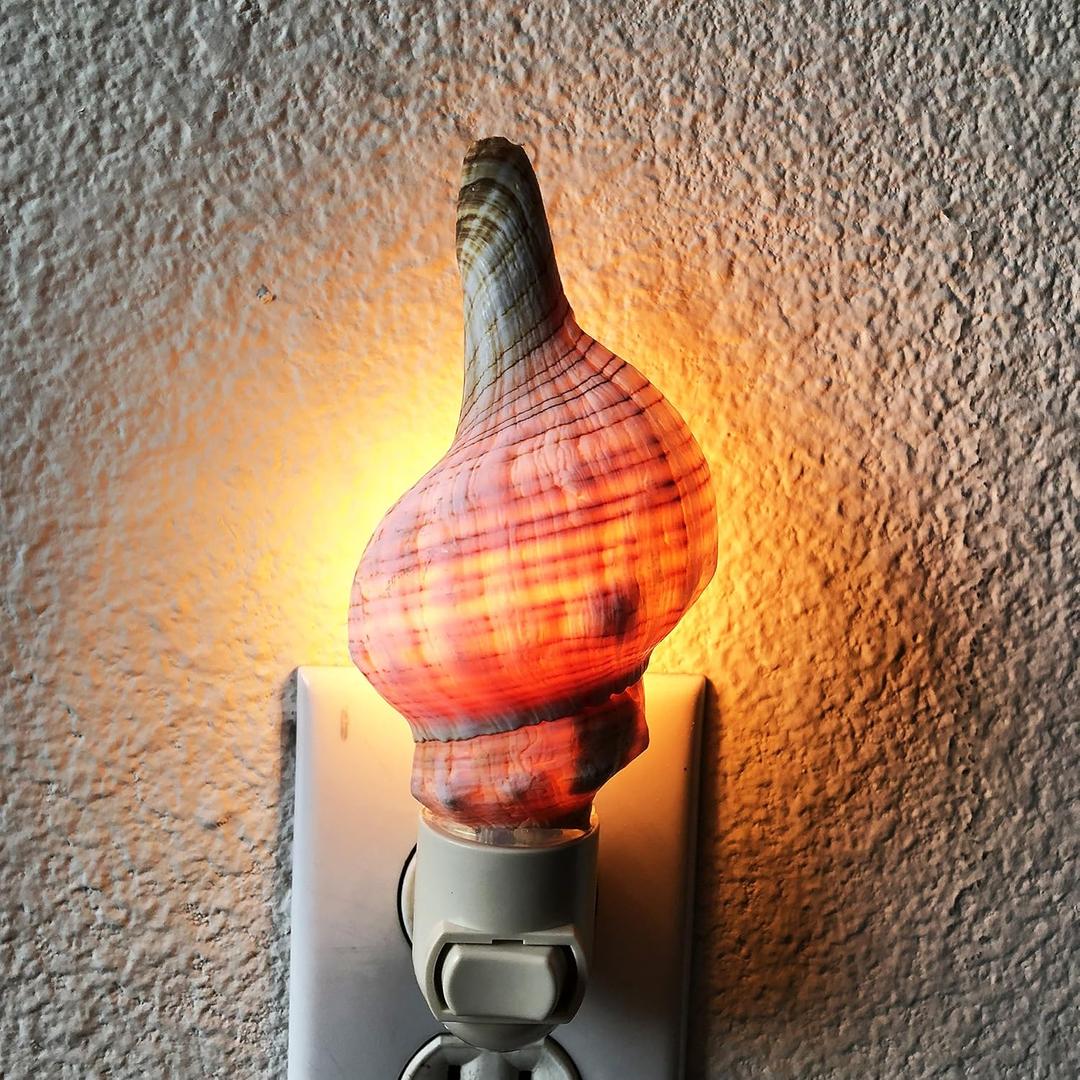 PEPPERLONELY Striped Fox Conch Sea Shell Night Light Nautical Natural Seashell Beach Home Decor