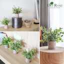 Der Rose 3 Pack Mini Potted Fake Plants Artificial Plastic Eucalyptus Plants Topiaries for Home Office Desk Farmhouse Shelf Room Bathroom Decor(Sage Green)