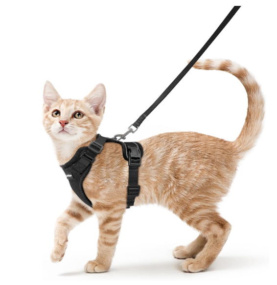 rabbitgoo Cat Harness and Leash for Walking, Escape Proof Soft Adjustable Vest Harnesses for Cats, Easy Control Breathable Reflective Strips Jacket, Black, XS