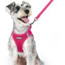 rabbitgoo Dog Harness and Leash Set, Step in Soft Light Puppy Vest, Breathable Mesh Pet Harness, Reflective for Safe Easy Walking, Rosa Red XL