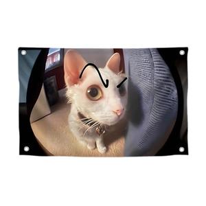 3x5 Feet Cat with Painted Eyebrows Tapestry Single Sided Flag with Four Brass Grommets - Polyester Funny Cats Outdoor or Indoor Flag - Funny Cats Poster in Fish Eye - Animals Tapestry For Classroom