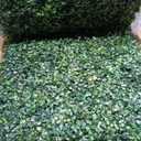 Grass Wall Panel 24 Pack 20"x20" Artificial Boxwood Hedge Plant Wall, Greenery Walls, Artificial Grass Backdrop, Privacy Hedge Screen Faux Boxwood for Outdoor,Indoor,Garden,Fence,Backyard