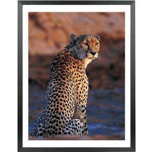 Mxtallup 17x24 Picture Frames Solid wood,Display Pictures 15x22 Inch With Mat or 17x24 Inch Without Mat, Poster Frames 15x22 in Photo Frames Wood Black (T22B1724W1522)