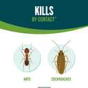 EcoLogic Home Insect Control 64 Ounces, Ready-To-Use Spray, Kills Ants, Cockroaches And Spiders