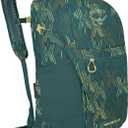 Osprey Daylite Plus Commuter Backpack - Everyday Pack with Laptop Sleeve, Bottle Pockets, and Extra Storage, Fuzzy Window Print/Torrent Blue