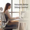 Navizam Lumbar Support Pillow for Office Chair Seat Cushions for Office Chairs - Back Support for Office Chair, Pillow for Car Chair Cushion with Anti-Slip Base, Backrest with Elastic Strap