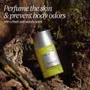 L'OCCITANE Roll-On Aluminum Free Deodorant, Reduce Body Odor, Refreshing Verbena, Eaves De Baux, Without Alcohol and Aluminum Salts, Made in France