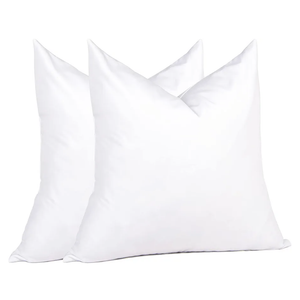 puredown® Feather Down Throw Pillow Inserts 22 x 22 (Pack of 2, White), Big Throw Pillows for Floor, Couch, Bed, Machine Washable