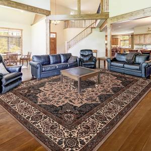 Area Rug for Living Room, 5x7Ft Machine Washable Boho Rugs for Bedroom, Non-Slip Vintage Carpet for Office Dining Room Nursery Farmhouse, Brown (5x7 Feet)