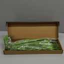 20PCS Fake Grass Filler Decor Artificial Grass Plants Outdoor Faux Plants Artificial Tall Shrubs Wheat Grass Greenery Stems UV Resistant Onion Grss For Outdoor Indoor Vase Planters Home Decor, Green