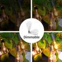 ST38 Replacement Bulbs, 25 Pack 5W Incandescent Edison Bulbs - Warm White, E12 Candelabra Base, Clear Glass Waterproof for Outdoor String Lights, Patio, Holiday & Wedding Decor