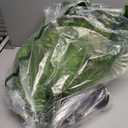 2PCS 45in Fake Ferns Large Artificial Plants Outdoor, UV Resistant Artificial Ferns for Outdoors, 60 Branches Faux Boston Fern Realistic Weatherproof Fake Plants for Porch Home Patio Hanging Decor