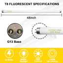 Konideke 10 Pack, F32T8/865 Fluorescent Light Bulb 48 Inch Daylight 32 Watt, T8 Fluorescent Bulb 4 Foot, 2800 Lumens G13 Medium 6500K Bi-Pin Base