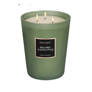 HomeLights Scented Candles - Large Jar Aromatherapy, Natural Soy Wax, 130 Hour Long Burning, Wild Mint & Eucalyptus