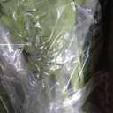 FOREST PRINCE 42" Artificial Boston Ferns, Bush Plants 2 Pack for Outdoors