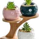 1 Pack Tabletop Plant Stand Indoor Small Windowsill Flower Shelf Bamboo Mini Succulent Windowsill Shelf Bamboo Trayfor Home, Office, Living Room, Bedroom Decoration (Without plant pot)