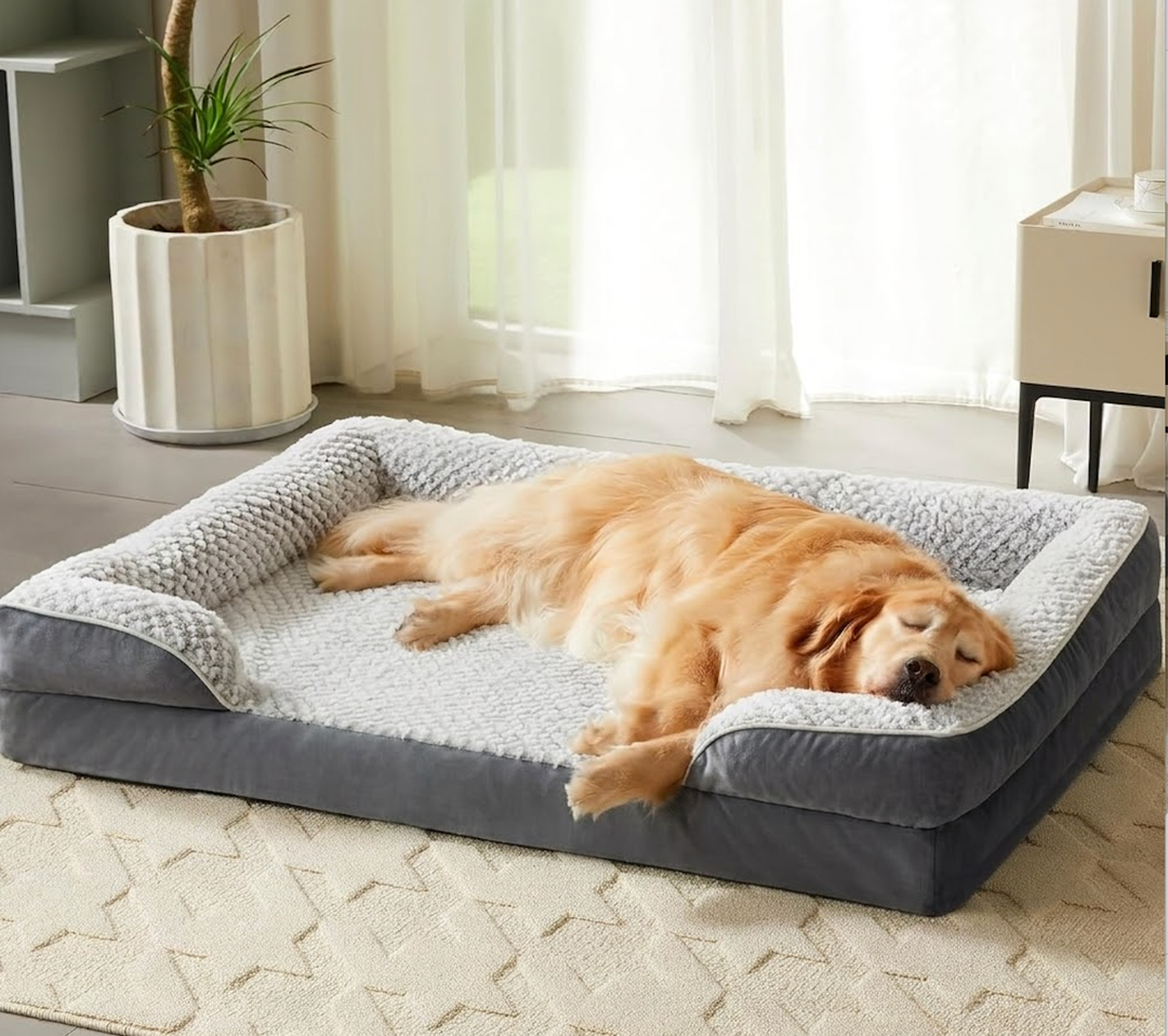 Orthopedic Dog Bed for Extra Large Dogs, Egg Crate Foam Bed for Extra Large Dogs, Equipped with Removable Waterproof Pillow Cover and Anti-Slip Bottom, Pet Bed, 61" x 43"