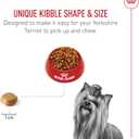 Royal Canin Yorkshire Terrier Adult Dry Dog Food, 2.5 lb bag (EXP 11/19/26)