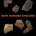 How Humans Evolved