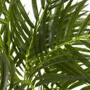 Nearly Natural 5388 Areca Palm UV Resistant Tree, 3.5-Feet, Green,50.5" x 7" x 7"