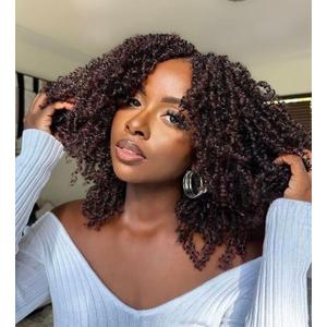 8 Packs Yanky Twist Crochet Hair Pre-looped Crochet Braids for Black Women 10 Inch Spring Mini Twist Hair Extensions Synthetic Braiding Hair(4#)