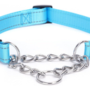 Pimaodog Martingale Dog Collar with Stainless Steel Chain (S, Light Blue) and Bbmmayy Reflective Nylon Dog Leash - The Heavy Duty Hero Leash (Red, 5FT×1'')