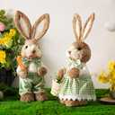 Set of 2 Easter Decorations 13.8" Rustic Straw Bunny Couple Tabletop Decor, Farmhouse Easter Bunny Figurines with Carrot, Vintage Rabbit Statues Ornaments, Spring Easter Home Decor