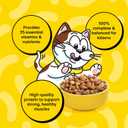 Temptations Kitten Dry Cat Food, Chicken & Dairy, 6.3 lb, 3 Pack | Real chicken, DHA for brain development, strong bones & muscles, crunchy outside & soft inside, 100% complete & balanced (EXP 09/17/26)