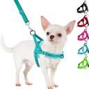 SlowTon No Pull Small Dog Harness and Leash Set, Puppy Soft Vest Harness Neck & Chest Adjustable, Reflective Lightweight Harness & Anti-Twist Pet Lead Combo for Small Medium Dogs(BL-Front Clip,XXS), Teal 