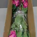 FOTEEWL 16 Bundles Artificial Hydrangea Flowers for Outdoor Decor, Realistic Faux Silk Bouquets Sun-Resistant Fake Plants for Front Door Balcony Farmhouse Garden Home Spring Summer Decor (Rose Red)