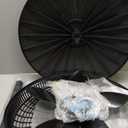 Lasko Oscillating Cyclone Pedestal Fan, Adjustable Height, Timer, Remote Control, 3 Speeds, for Bedroom, Living Room, Home Office, 18", Black, 1843