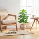 BESAMENATURE 30.5" Little Artificial Fiddle Leaf Fig Tree/Faux Ficus Lyrata for Home Office Decoration, Ships in Silvery Gray Planter