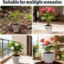 24 Pcs 4/5/6/7/8/9 Inch Clear Nursery Pots with Drainage Holes, Transparent Variety Pack Plastic Plant Pot for Plants, Clear Seedling Planter Pots for Flowers Vegetable Succulents Herbs