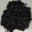 Joy Join Unisex Short Fluffy Afro Funny Wigs for Halloween,Holiday Party Clown Costume (One size, Black 200)