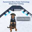 Dog Shock Collar - 4200FT Dog Training Collar with Remote for 20-140lbs Dogs, Innovative E Collar for Dogs Training with 4 Training Modes, Rechargeable Electric E-Collar for Large Dogs