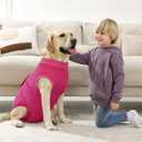 Kuoser Dog Surgery Suit Female Spay, Dog Recovery Suit Male Neuter, Pet Clothes Onesie for Surgery Anti Licking Abdominal Wounds Puppy Surgical Recovery Bodysuit Shirt, Substitute E-Collar & Cone, Size: M (Back:13.4-16.1'', Weight:14-25 Lb)