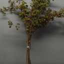 Light Green Artificial Berry Stem, 8 Pack