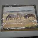 Wild Horses Wall Art Framed: Wildlife Animals Pictures Horse Artwork Painted Wood Painting for Bedroom(12x16)