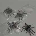 4 Pieces Realistic Spider Giant Fake Spider Action Model Plastic Animal Tarantula Toy Figures Lifelike Educational Toy for Girls and Boys, Halloween Prank Props Party Supplies