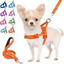 Lukovee No Pull Dog Harness and Leash Set, Soft Padded Small Dog Harness, Neck & Chest Adjustable Reflective Vest Puppy Harness with 4ft Lightweight Anti-Twist Dog Leash for Small Dogs (Orange, XS)