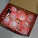 alikiki Diwali Lotus LED Diyas String-Lights - USB Powered Waterproof Diwali Diya Lights for Pooja Item Indian Home Office Mandir Puja Decor - Includes 5 Stickers (11.1ft)