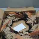 National Tree Company Pre-Lit Artificial Orange and Black Pampas Wreath, 30 Warm White LED Lights, 26 inch