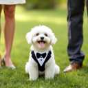 Dog Tuxedo for Wedding, Pet Tuxedo Suit with Bow Tie, Pet Costumes for Small Dogs, Formal Party Attire for Halloween Christmas, Small, Black White
