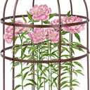 HEYTIMI 4 Pcs Jardin Bird Cage Plant Support 24" H Large Sturdy Grow-Through Flower Support Peony Cage Climbing Plant Support Trellis Sculptural Garden Decor for Perennial Flowers (Vintage Gold)