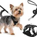 Small Dog Harness and Leash Set, Reflective Soft Breathable Mesh Vest, 3 Buckles, Adjustable Neck and Chest,Step in Dog Harness for Walking, Running, Training, Black, XS