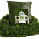 USMOLA 16OZ Fake Green Moss for Crafts, Artificial Moss for Potted Plants Decor, Bulk Moss for Indoor/Outdoor Use, DIY Floral Arrangements, Terrariums & Fairy Gardens (Dark Green) (EXP 05/13/27)