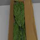 Artificial Christmas Norfolk Pine Stems Branches for Vases,12 Bundles Fake Pine Stems with 2 PCS Small Pinecones Branches Faux Evergreen Real Touch Greenery for Xmas Holiday Winter Table Indoor Decor